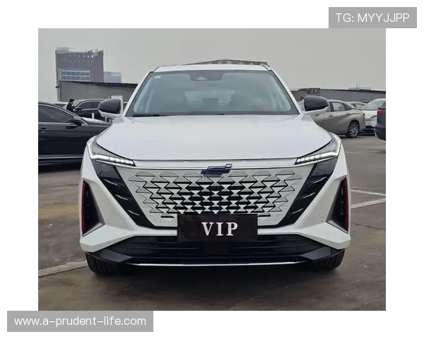 Z6就是博：结合市场趋势分析Z6的竞争优势与发展策略