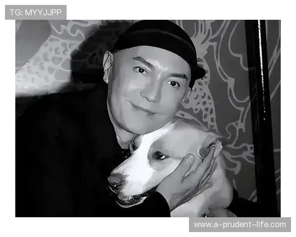 尊龙凯吋:细数他在影视作品中的精彩表现与角色塑造