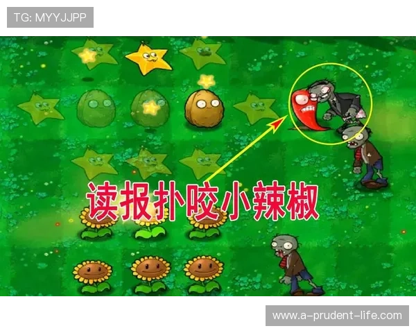 凯时备用平台最新功能介绍助你轻松应对各种游戏挑战