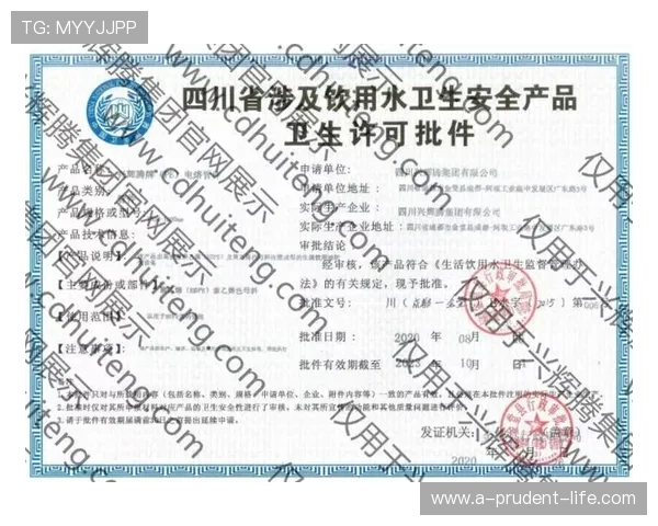 尊龙集团登录入口官网安全登录流程及常见问题解决方案