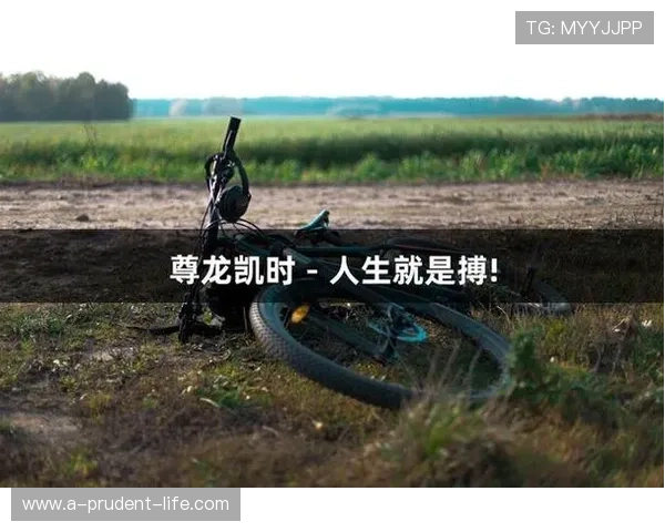 选择凯时尊龙，感受人生如博的无尽可能与乐趣