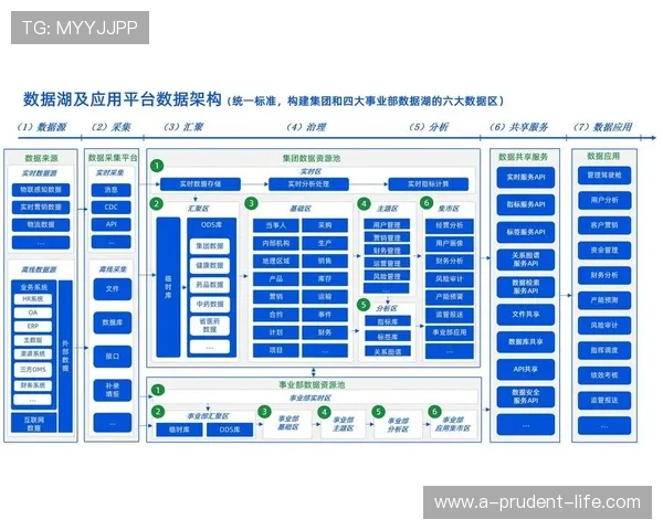 Z6就是博：如何利用Z6提升企业数字化转型效率
